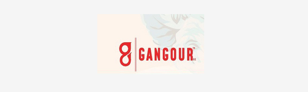 https://www.wholesaletextile.in/brand-images/Gangour-1583321043.jpg