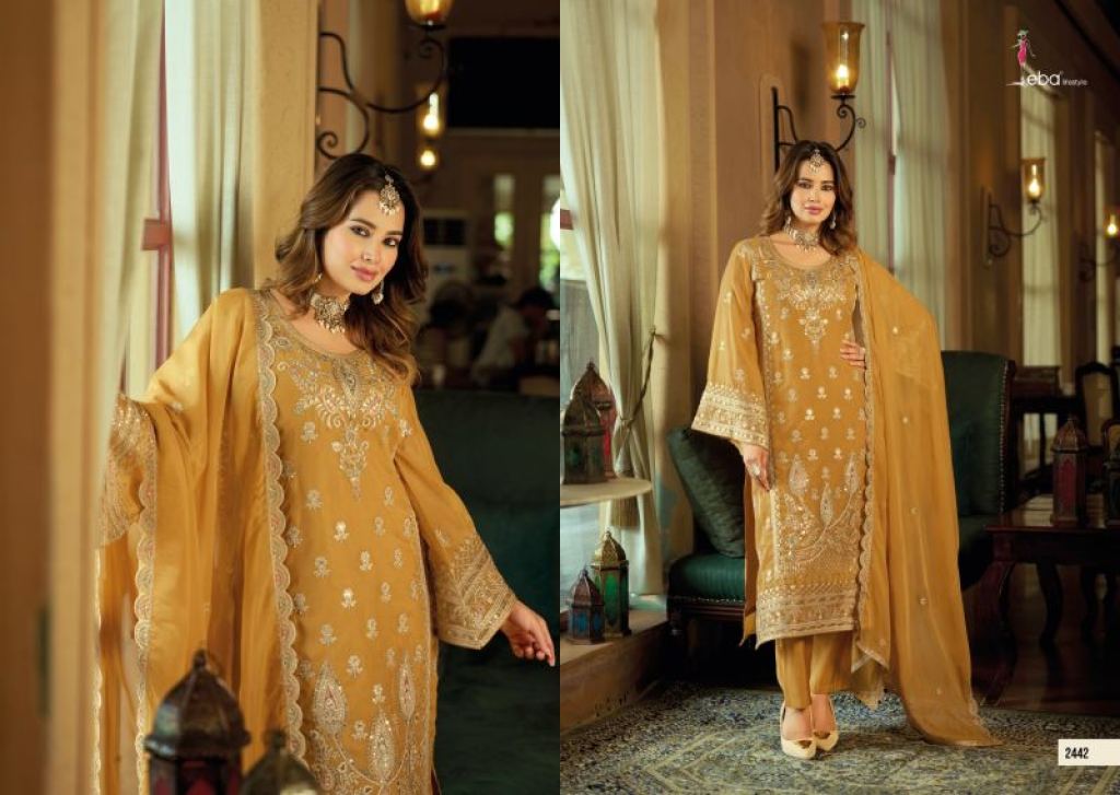 Eba Riyana Organza Luxury Party Wear Suit