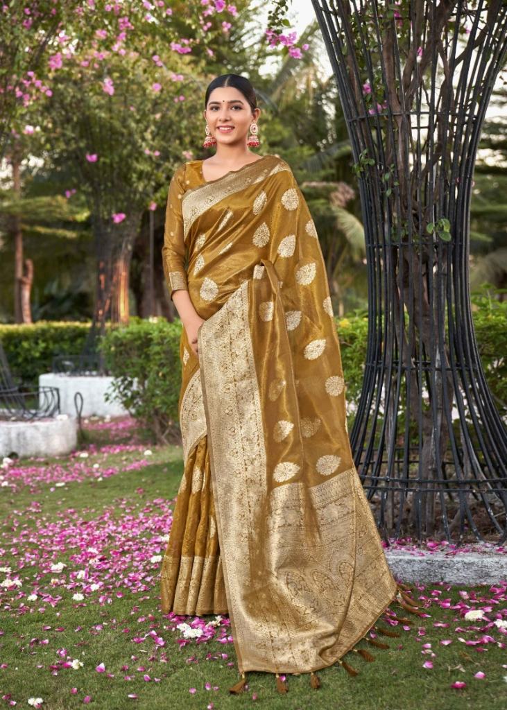 Monjolika Maheen Saree