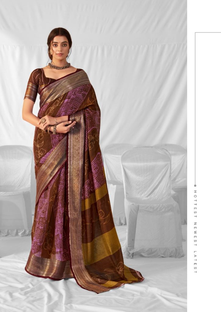 Rajyog Kavira Chanderi Saree