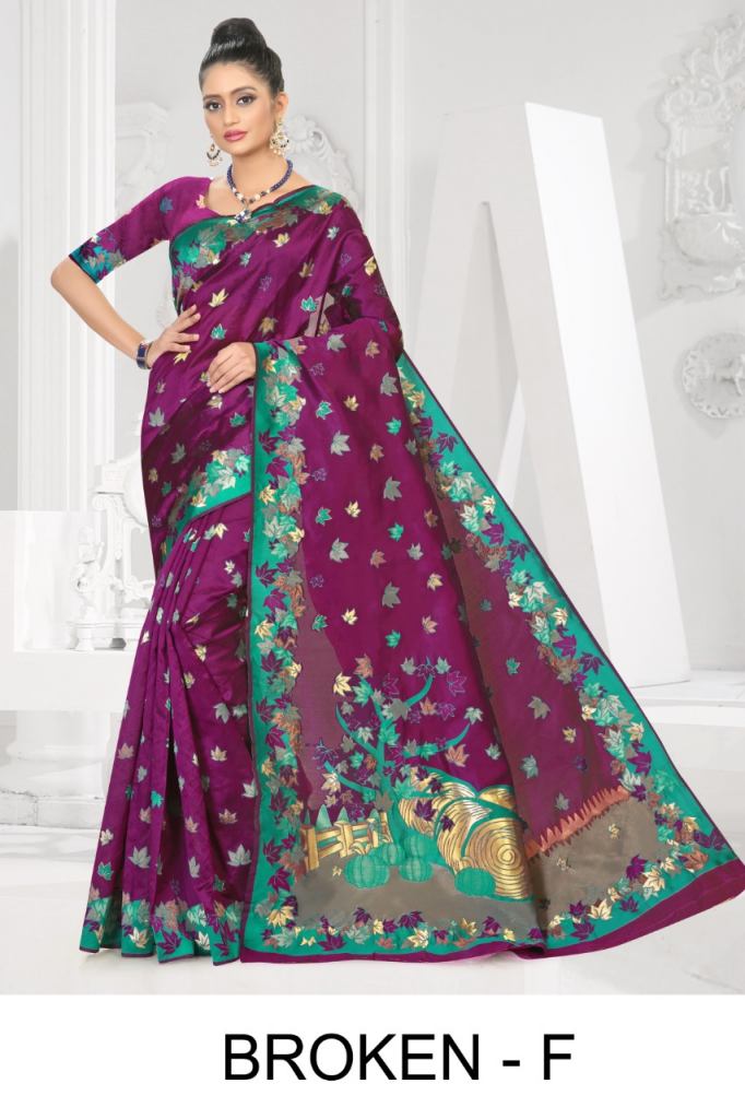 Ranjna presents broken ethnik wear beautiful silk saree collection 