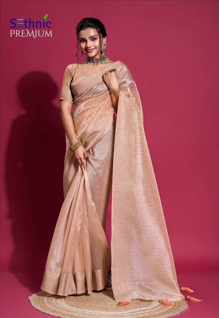 Sethnic Satva Dense  Saree
